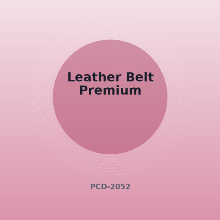 Ceinture en cuir Premium